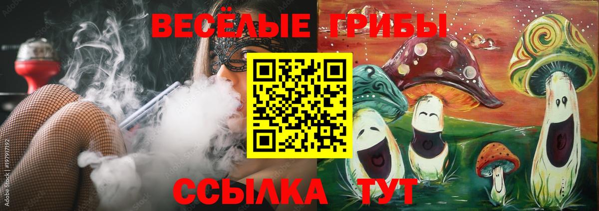Псилоцибиновые грибы MAGIC MUSHROOMS  Вход с VPN  Анапа 